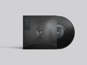 Tänder på påhittade meningar med livet - LP